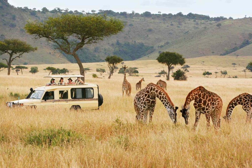 Visa Free Countries For Ghana: Experience the best Safari on your travel to Kenya